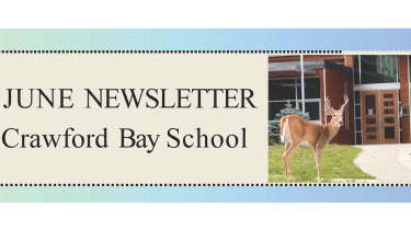 Young buck deer standing in front of a school entrance